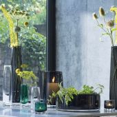 Ваза Signature, Rotunda, 15 см, LSA International, арт.:G1655-15-301